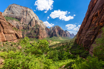 Hiking in the Canyon of the Zion National Park - Travel destination for Outdoor in Utah, USA