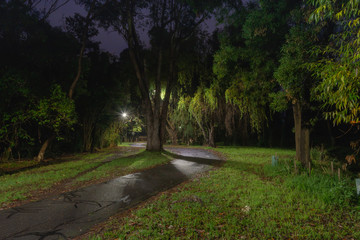 Lonely path in the dark