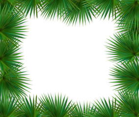 Fototapeta na wymiar Colorful naturalistic frame from the leaf of the Libistones of Chinese (Southern palm). Vector Illustration.