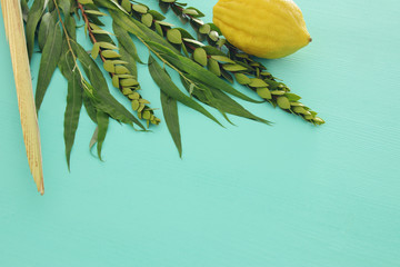 Jewish festival of Sukkot. Traditional symbols (The four species): Etrog, lulav, hadas, arava.