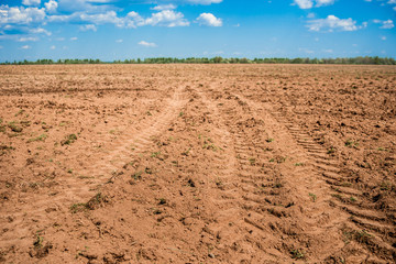 Plowed field prepared for sowing. Landscape with agricultural land. Arable land. Natural background.