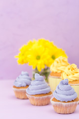 Cupcakes decorated with yellow and violet cream and chrysanthemums on violet pastel background for greeting card with copyscape.