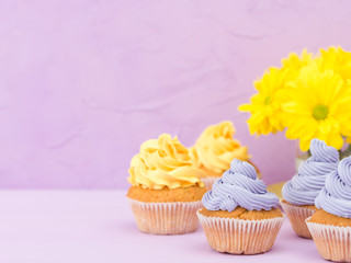 Cupcakes decorated with yellow and violet cream and chrysanthemums on violet pastel background for greeting card with copyscape.