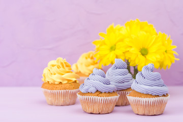 Cupcakes decorated with yellow and violet cream and chrysanthemums on violet pastel background for...