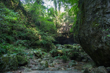 Georgia