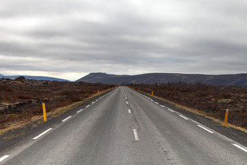 Asphalt road on the beautiful landscape in the east of Iceland.