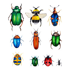 beetle with watercolour pattern