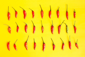 Red Chilli on Yellow background using fresh red. It has spicy. Food concept. Top view