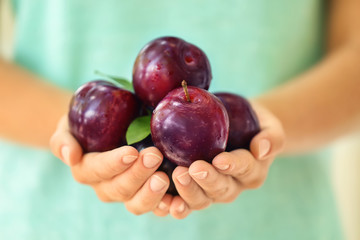 Woman holding ripe juicy plums, closeup