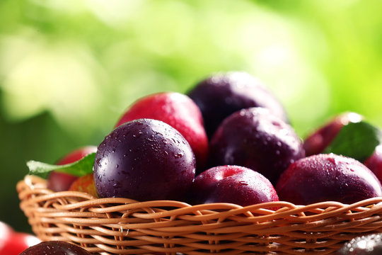 Wicker basket with ripe juicy plums on blurred background