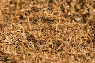 Detail of brown tobacco in cigarettes.