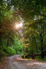 Fototapeta premium road at sunset
