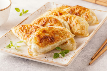 Plate of asian gyoza, dumplings snack.