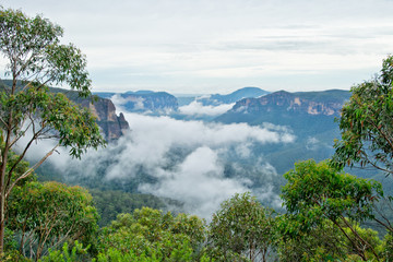 Cliff Top Track View. Blue Mountains in Australia.