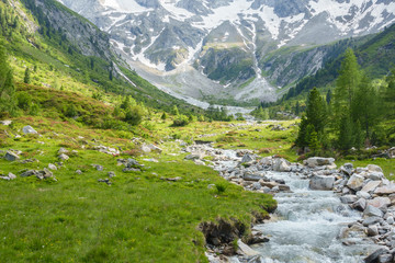 Wildbach vom Gletscher in den österreichischen Bergen