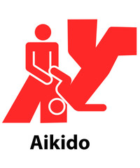 Aikido vector illustration