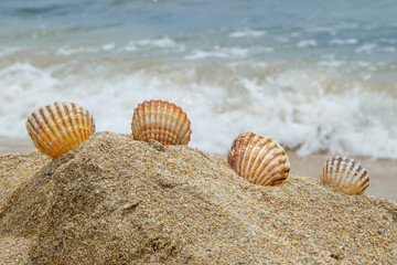 Encontradas en la orilla III