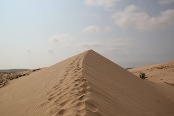 White sands in the desert