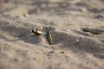 Shell casing of automatic weapons on the sand. signs of war