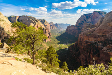 Zion National Park -  hiking in beautiful canyon in summer - amazing landscape scenery with...