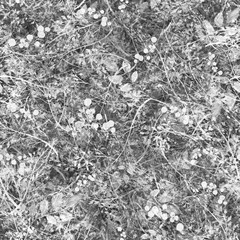 Watercolor floral seamless background, texture of leaves, grasses, plants. Juniper with berries, moss,wild grass,  plants. Natural wood pattern.Beautiful pattern for your design. Manual graphics.