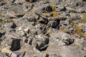 moss on the rocks in spring, orange, gray and yellow, near the pond, lit by the sun,