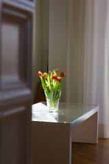 Tulpen im Sonnenlicht