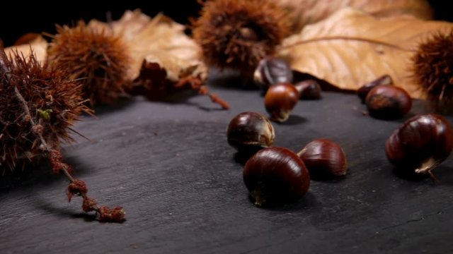 Close up Chestnuts fall on a black stone board