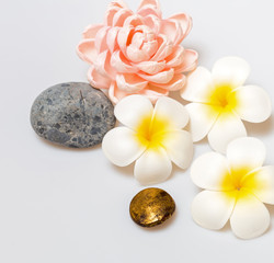 Obraz na płótnie Canvas Frangipani flowers on white background. Concept for spa background