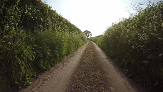 POV Driving through the Quantock Hills in Somerset, England