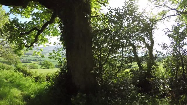 POV Driving through the Quantock Hills in Somerset, England