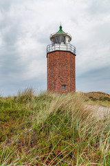 Fototapeta na wymiar View to old Lighthouse with typical heathland plants at Sylt / Germany