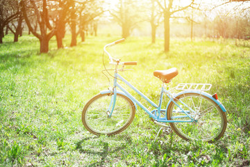 Fototapeta premium Transport for summer. Rent a bicycle. Blue vintage bicycle stands in the park among the trees in the sun