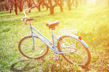 Fototapeta premium Transport for summer. Rent a bicycle. Blue vintage bicycle stands in the park among the trees in the sun