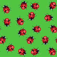 beetle ladybird watercolour