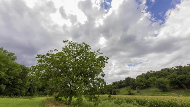 Timelapse of a summer  sky with many clouds