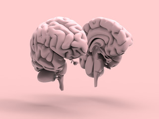 Human Brain Pastel 3D Render 