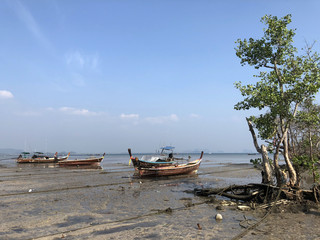 Fototapeta na wymiar Long-tail boats during low tide