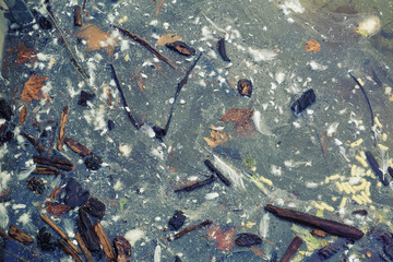 background organic matter on stagnant water