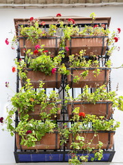 Fototapeta na wymiar window decorated with andalusian geranium pots