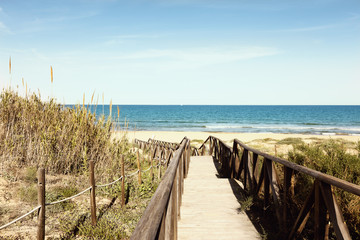wooden footbridge over dunes to the beach