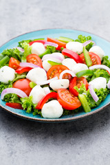 Vegetable salad with cheese mozzarella, tomatoes, basilikum and spice.