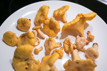 cutted mushrooms ready to dry for winter