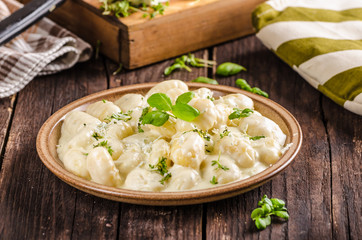 Cheese gnocchi with blue cheese sauce and galic