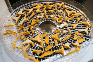 cutted mushrooms ready to dry for winter