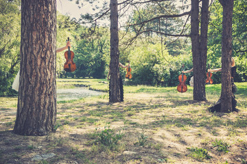 Music and nature concept. Female musical quartet with string instruments, one cello and three...