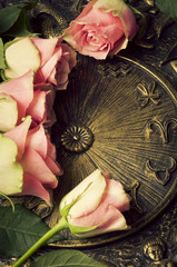 roses with zodiac signs like a romantic and love astrology concept 