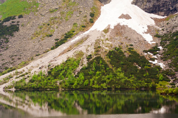Shrubs, stones and snow reflected in a mountain lake on the Sea Eye ('Morskie Oko') in Poland