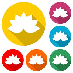 Lotus plant, Lotus silhouette icon, color icon with long shadow