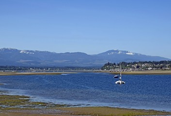 beach landscape at Goose Spit Park during low tide, Comox, Vancouver Island British Columbia Canada  
